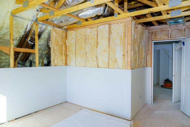 Best Insulation Replacement Services  in USA